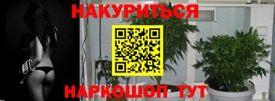 стафф Северобайкальск