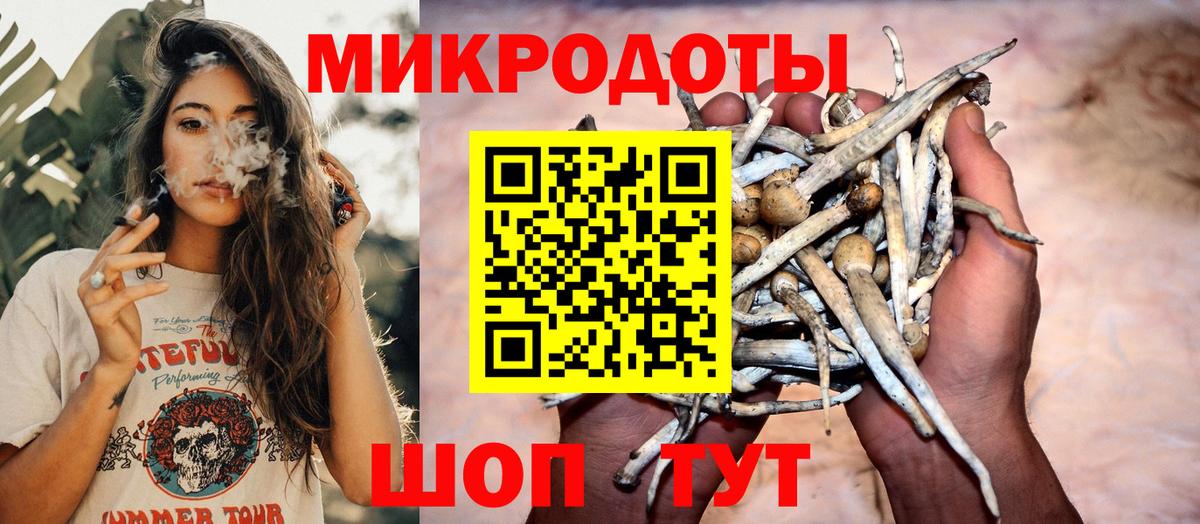 Галлюциногенные грибы MAGIC MUSHROOMS  Вход с VPN  Протвино  Галлюциногенные грибы Magic Shrooms 