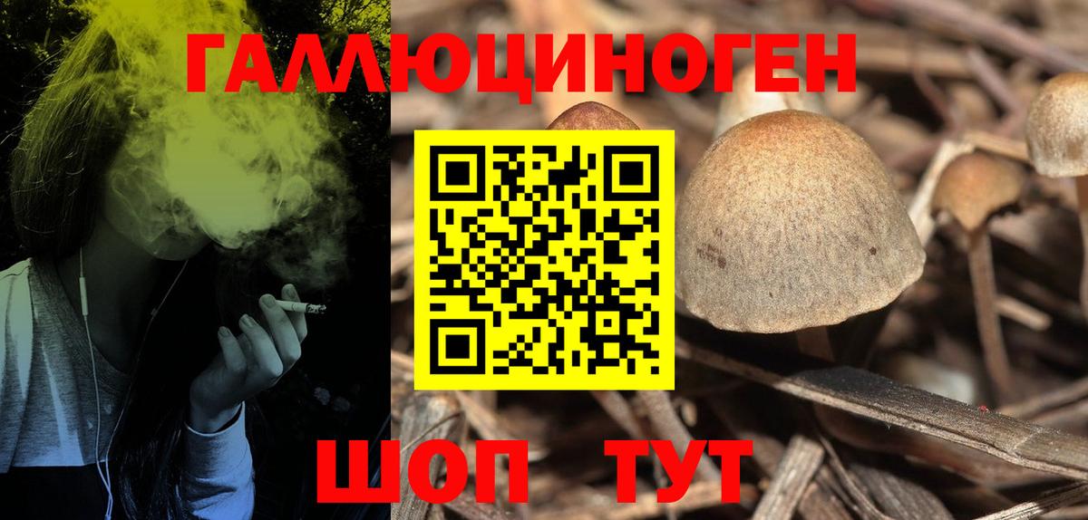 Псилоцибиновые грибы Psilocybine cubensis Протвино